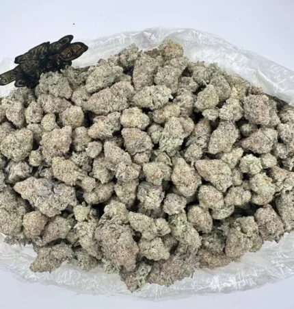 Alien Cookies