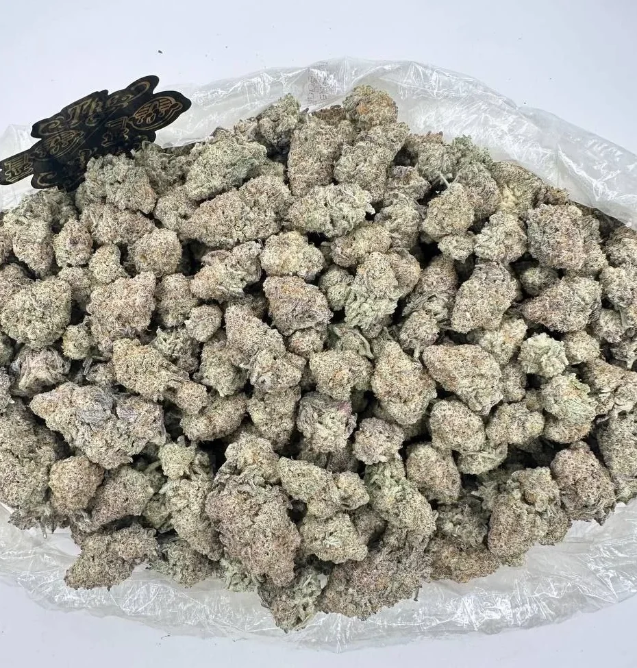 Alien Cookies Alien Cookies