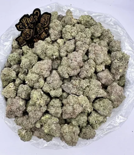 Gelato #33