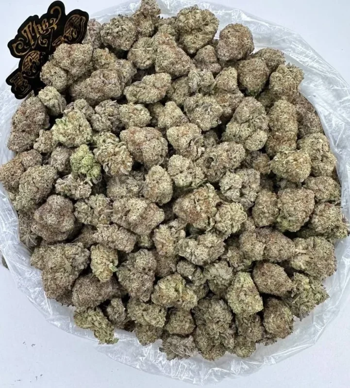 Jungle Cake