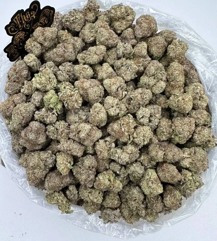 Jungle Cake Jungle Cake